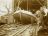 Tewaterlating in 1911
